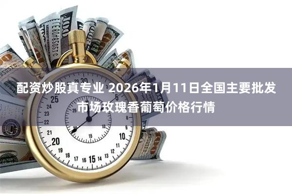 配资炒股真专业 2026年1月11日全国主要批发市场玫瑰香葡萄价格行情